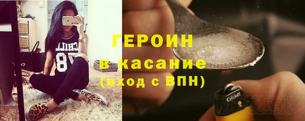 сатива Каменка