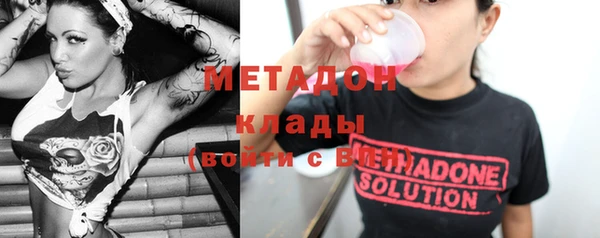 сатива Каменка