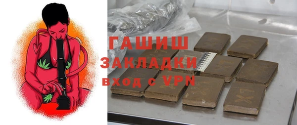 сатива Каменка