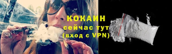сатива Каменка