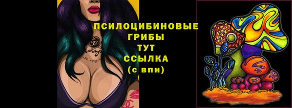 сатива Каменка