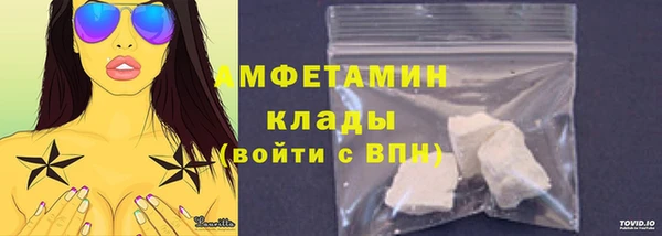сатива Каменка