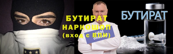 сатива Каменка