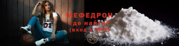 сатива Каменка