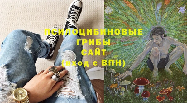 прущие грибы Каменск-Шахтинский