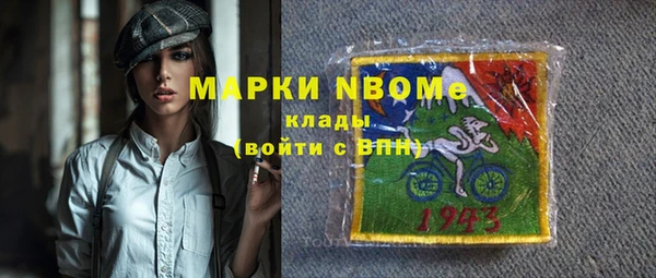 сатива Каменка