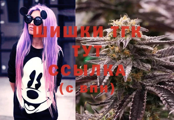 прущие грибы Каменск-Шахтинский