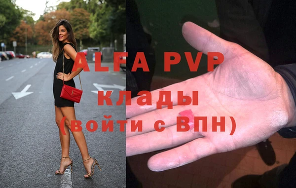 прущие грибы Каменск-Шахтинский