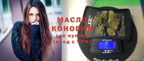 сатива Каменка