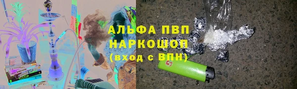 сатива Каменка