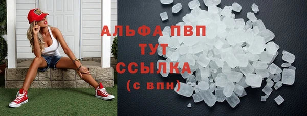 прущие грибы Каменск-Шахтинский