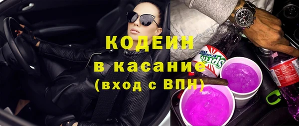 сатива Каменка