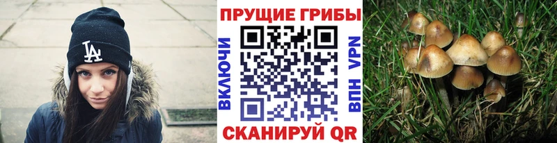 Псилоцибиновые грибы мицелий  Купить где  Нижневартовск 
